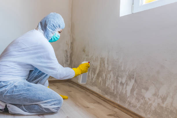 Licensed Mold Testing service in McKinney, TX - WQB Mold Removal