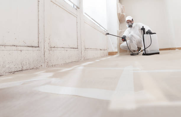 24/7 Emergency Mold Testing experts in McKinney, TX