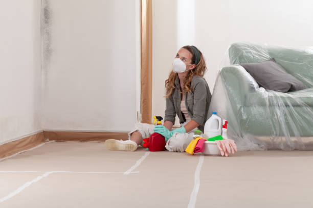 Reliable Mold Testing contractor in McKinney, TX by WQB Mold Removal